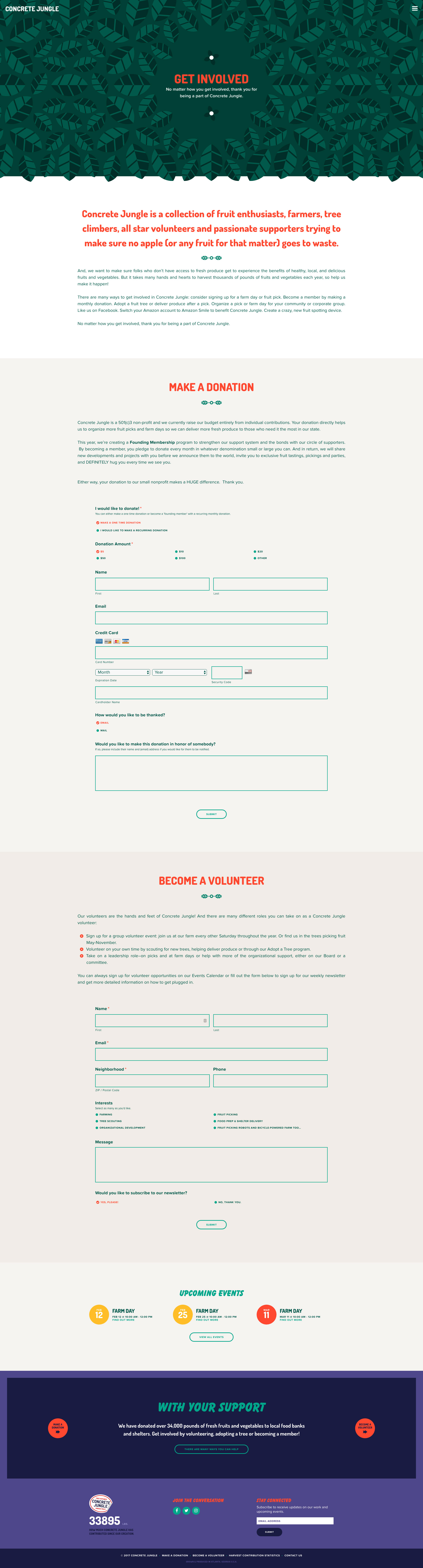 Neue Now Design Co / Dave Kriebel / Concrete Jungle / Website Design and Development