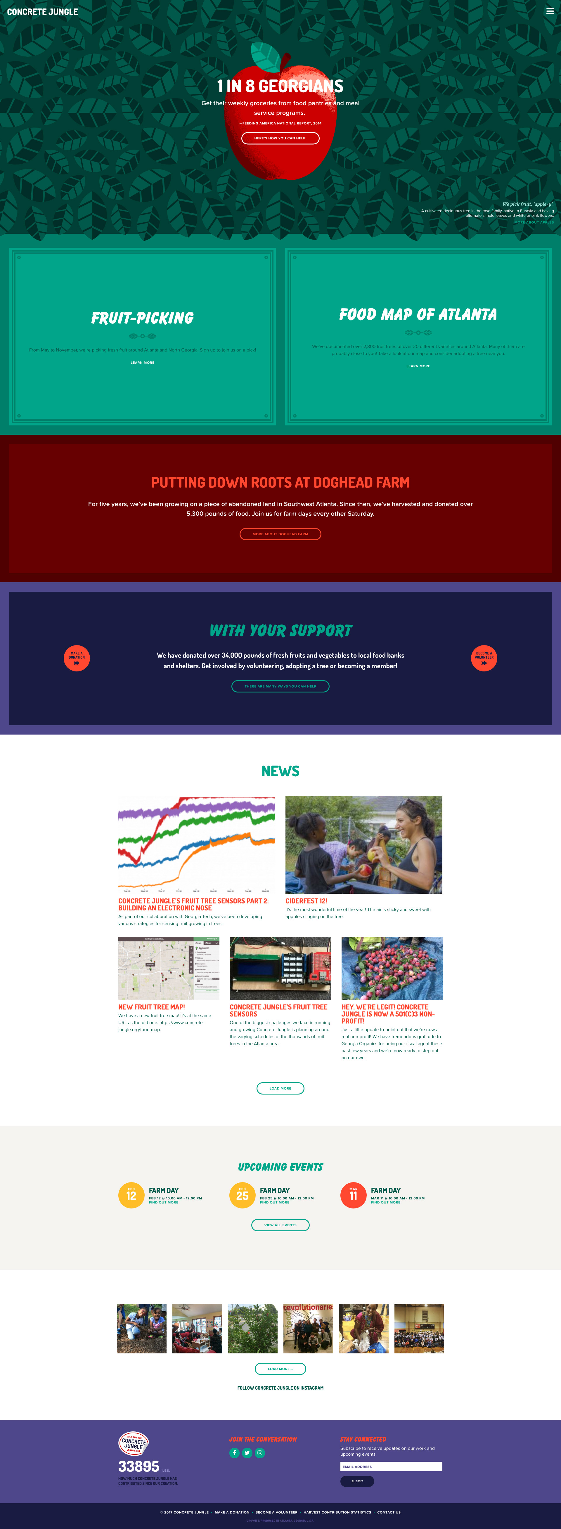 Neue Now Design Co / Dave Kriebel / Concrete Jungle / Website Design and Development