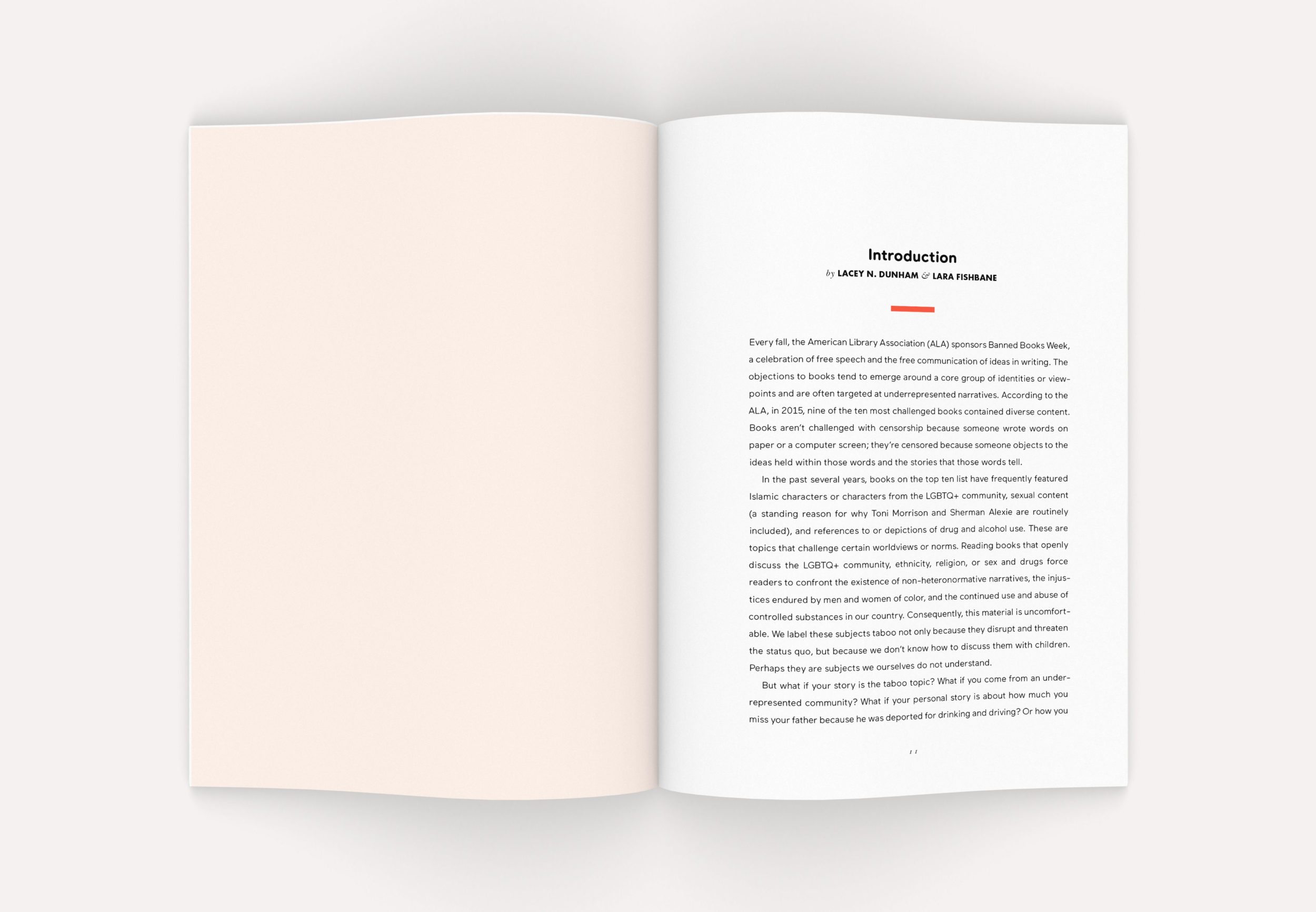 Neue Now Design Co / Dave Kriebel / 826DC / 2017 Young Author Book Project