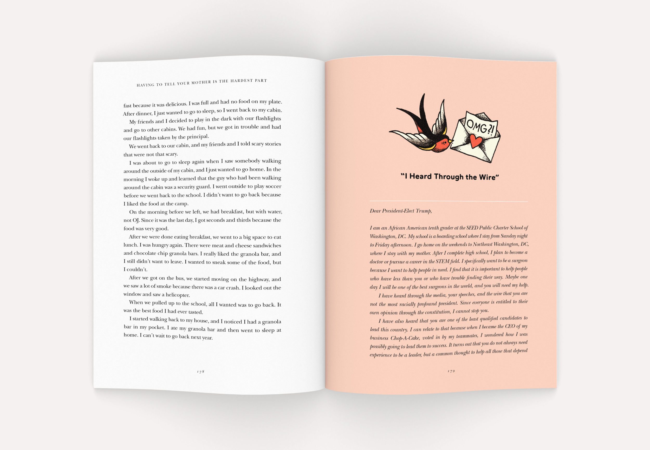 Neue Now Design Co / Dave Kriebel / 826DC / 2017 Young Author Book Project