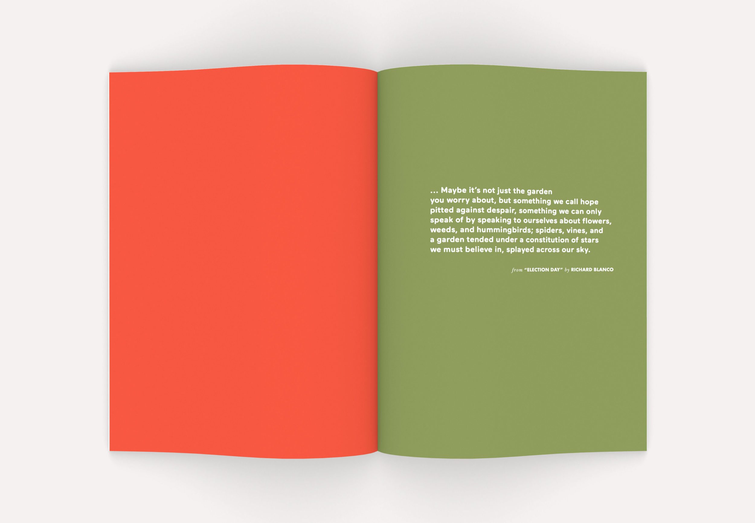 Neue Now Design Co / Dave Kriebel / 826DC / 2017 Young Author Book Project